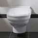 Унітаз підвісний Villeroy & Boch Hommage 6661B0R1, білий 7195 фото 2 | La Dushe | Салон меблів і сантехнікаи Ля Душе | Портал для професіоналів | Дизайн інтер'єрів | Персональний сервіс| Професійна консульація | Дизайн проект | Імпорт з Єверопи