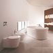 Унітаз підвісний Duravit Starck 1 210090064 800006231 фото 2 | La Dushe | Салон меблів і сантехнікаи Ля Душе | Портал для професіоналів | Дизайн інтер'єрів | Персональний сервіс| Професійна консульація | Дизайн проект | Імпорт з Єверопи